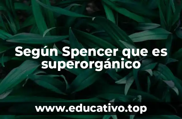 Según Spencer que es superorgánico