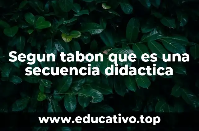 Segun tabon que es una secuencia didactica