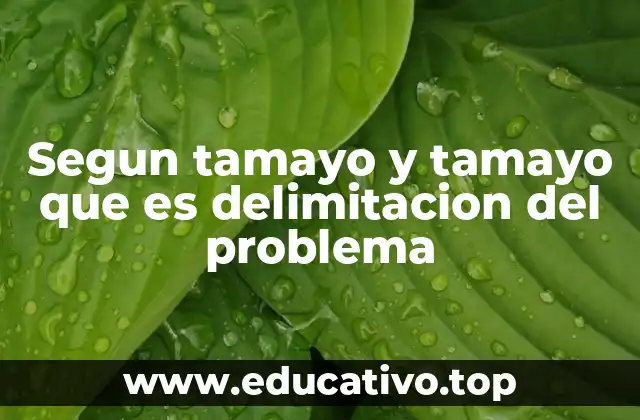 Segun tamayo y tamayo que es delimitacion del problema
