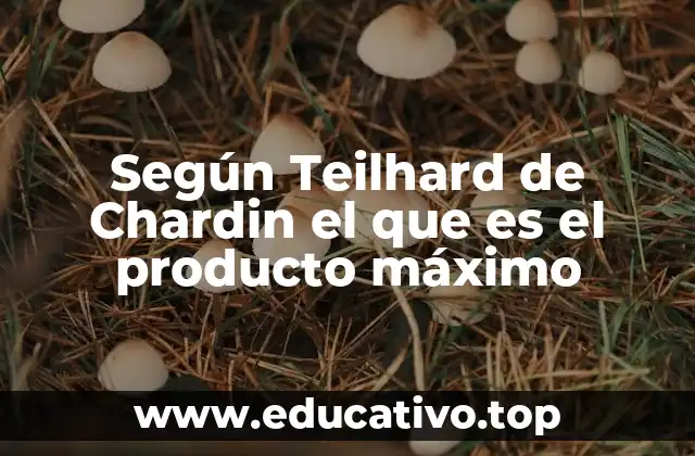 Según Teilhard de Chardin el que es el producto máximo