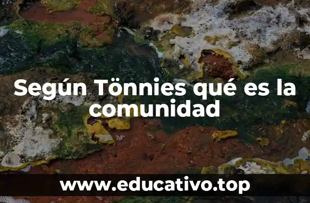 Según Tönnies qué es la comunidad