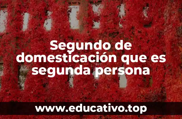 Segundo de domesticación que es segunda persona