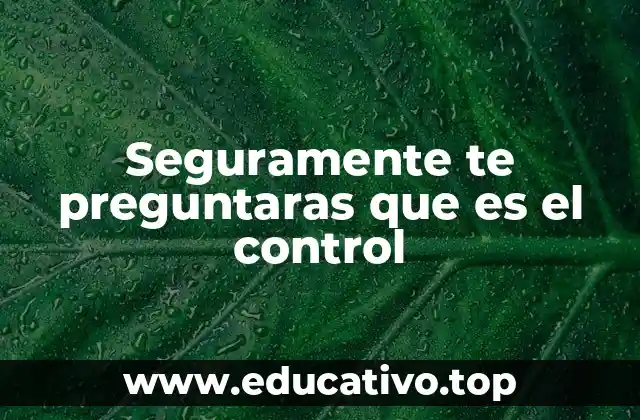 Seguramente te preguntaras que es el control