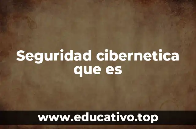 Seguridad cibernetica que es