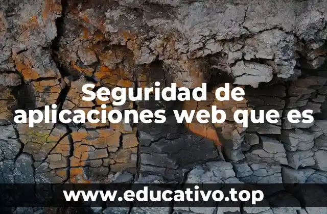 Seguridad de aplicaciones web que es