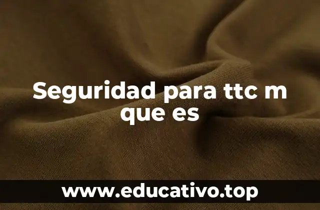 Seguridad para ttc m que es