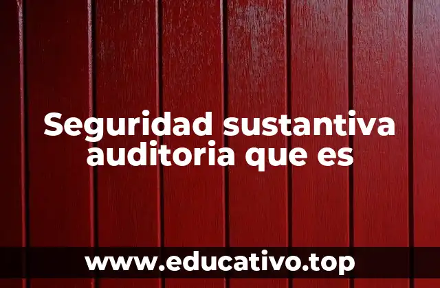 Seguridad sustantiva auditoria que es
