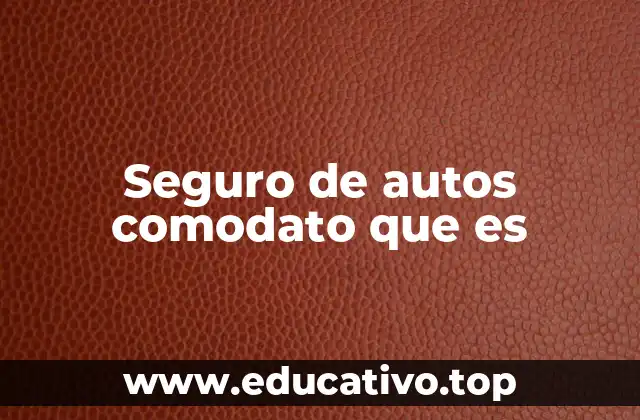 Seguro de autos comodato que es