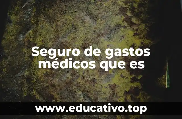 Seguro de gastos médicos que es