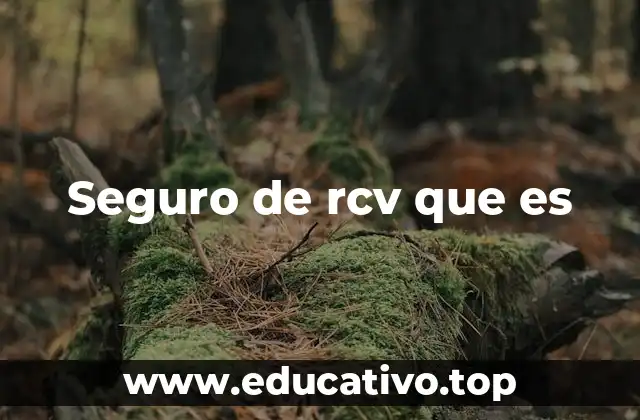 Seguro de rcv que es