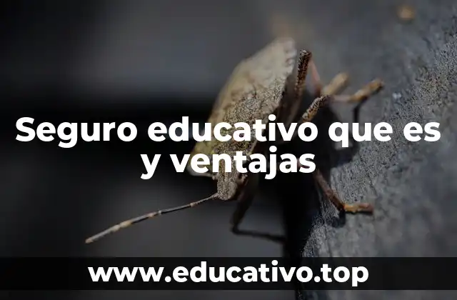 Seguro educativo que es y ventajas
