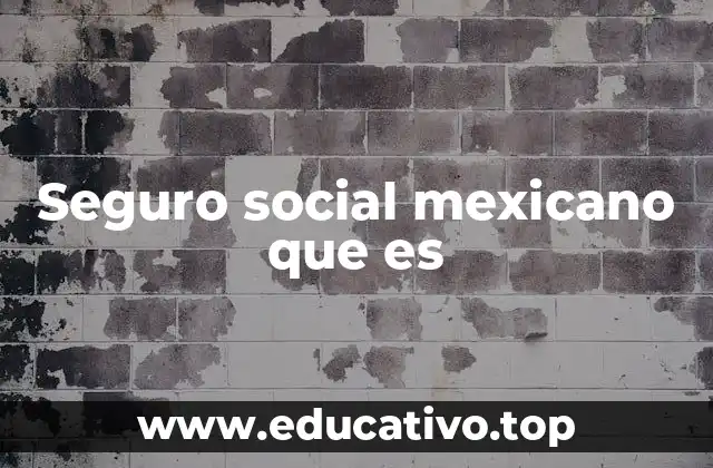 Seguro social mexicano que es