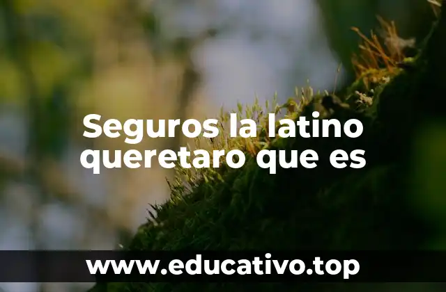 Seguros la latino queretaro que es
