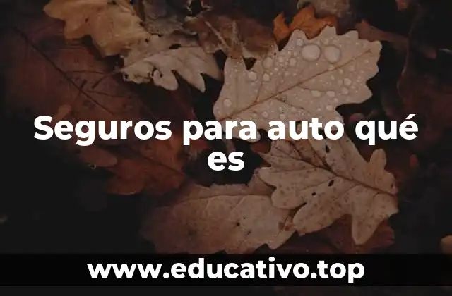 Seguros para auto qué es