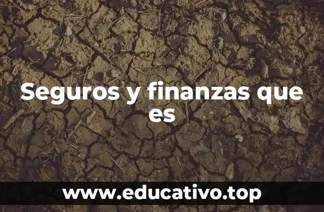 Seguros y finanzas que es