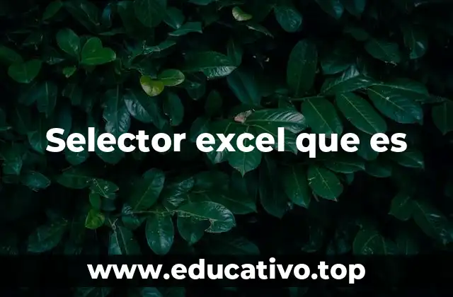Selector excel que es