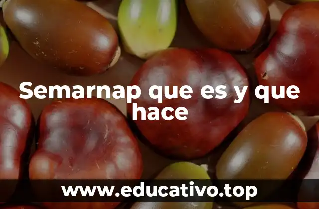 Semarnap que es y que hace