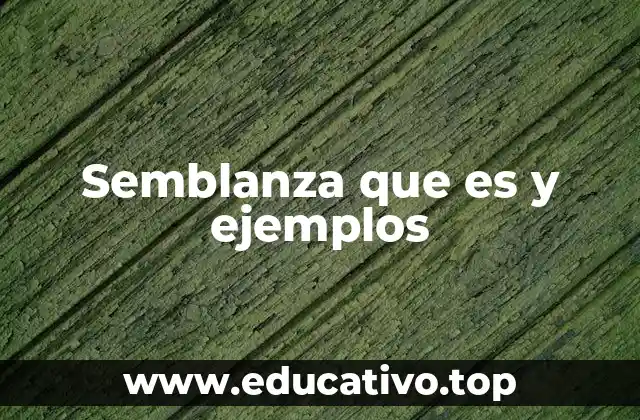 Semblanza que es y ejemplos