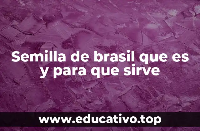 Semilla de brasil que es y para que sirve