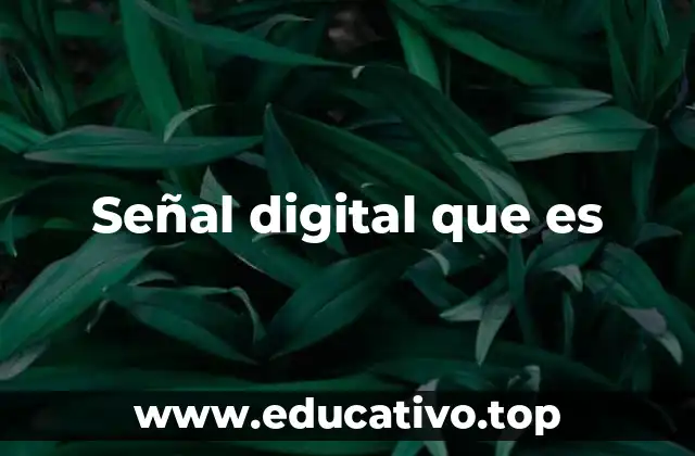 Señal digital que es