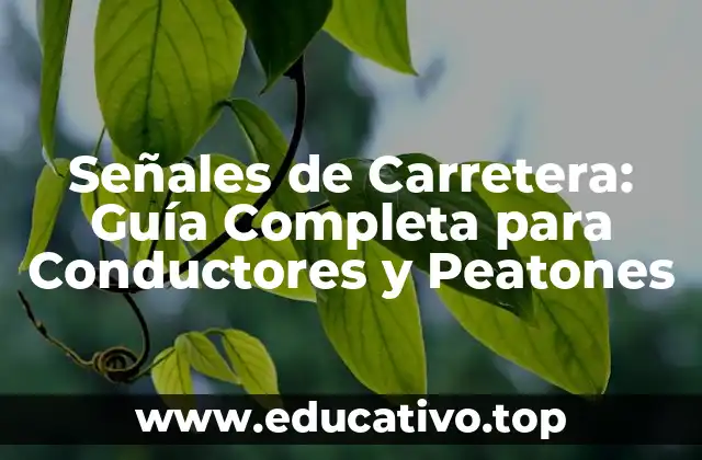 Señales de Carretera: Guía Completa para Conductores y Peatones