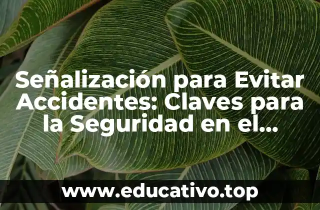 Señalización para Evitar Accidentes: Claves para la Seguridad en el Tráfico