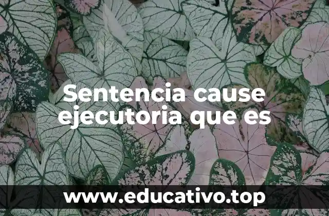 Sentencia cause ejecutoria que es
