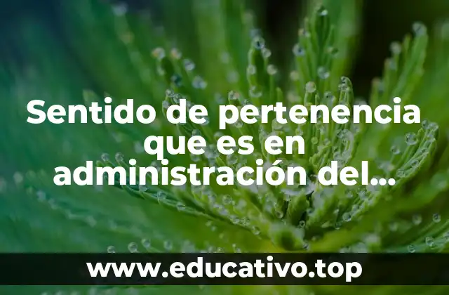 Sentido de pertenencia que es en administración del tiempo