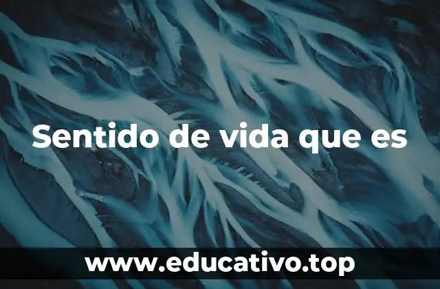 Sentido de vida que es