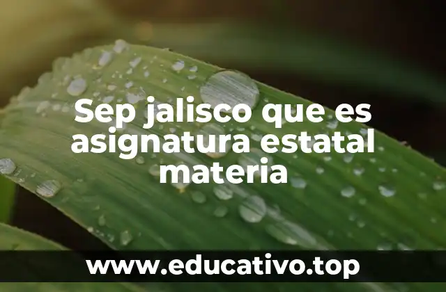 Sep jalisco que es asignatura estatal materia