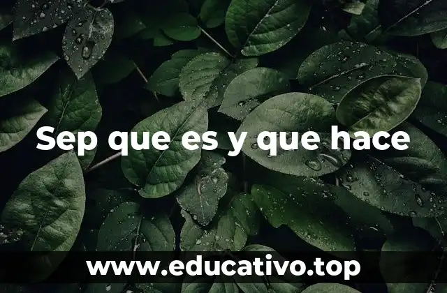 Sep que es y que hace