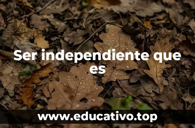 Ser independiente que es