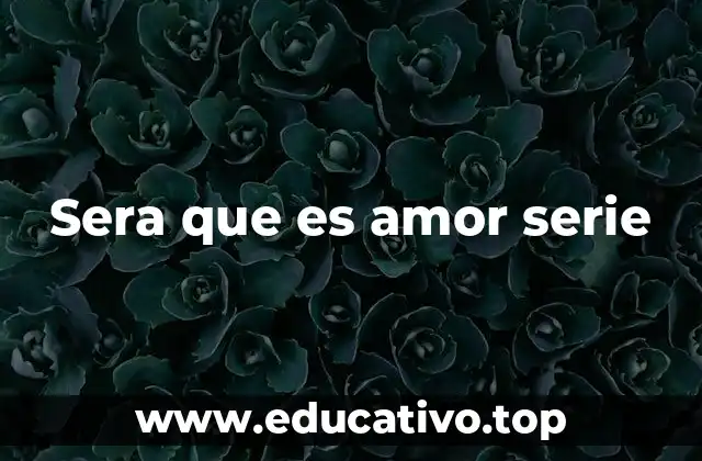 Sera que es amor serie