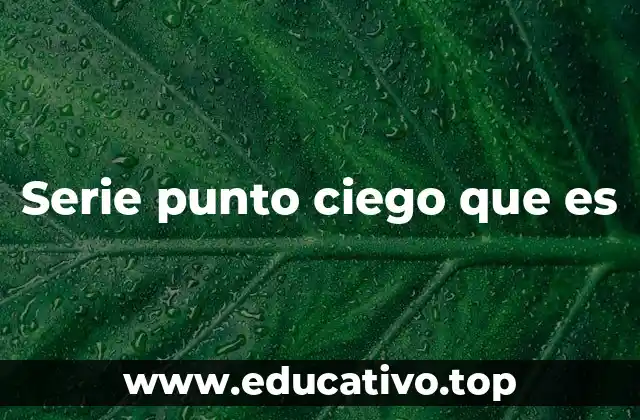 Serie punto ciego que es