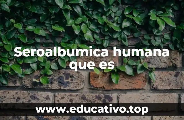 Seroalbumica humana que es