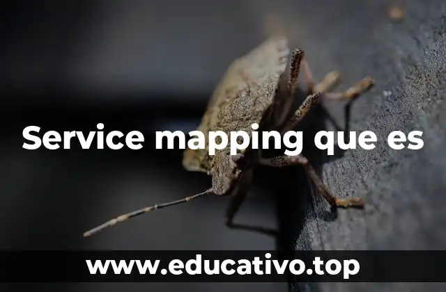 Service mapping que es