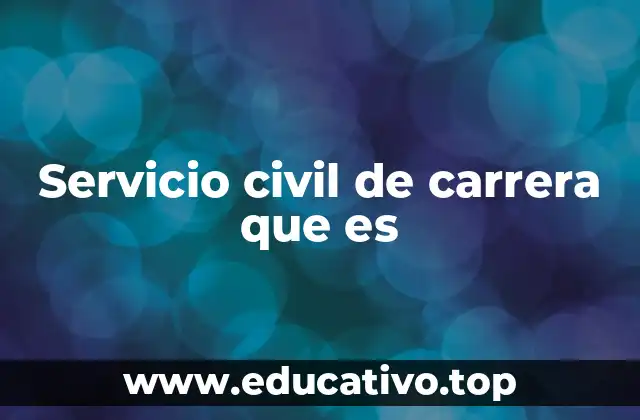 Servicio civil de carrera que es
