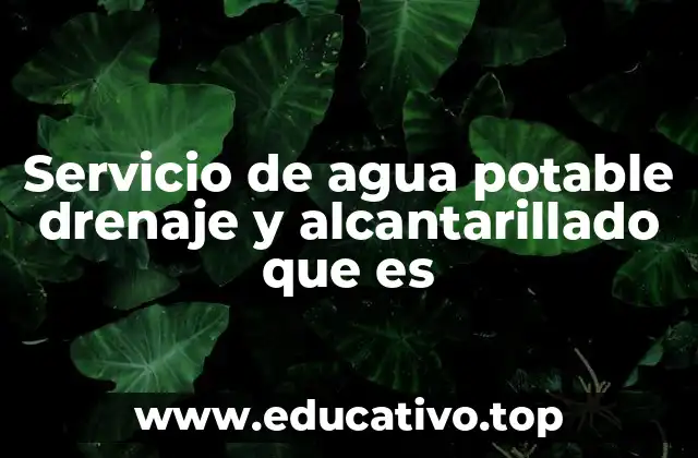 Servicio de agua potable drenaje y alcantarillado que es