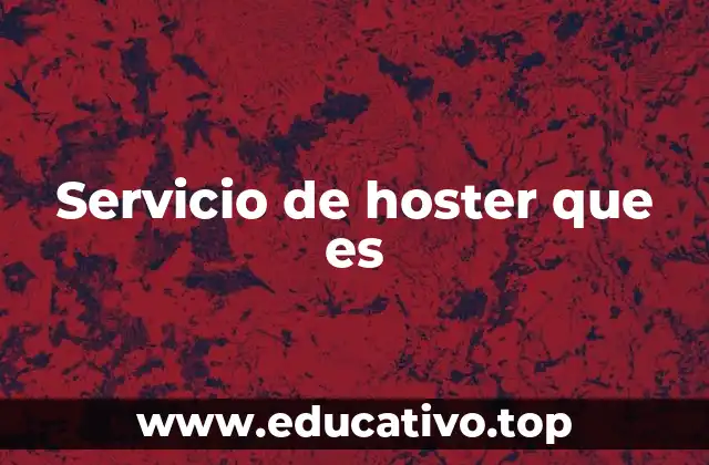 Servicio de hoster que es