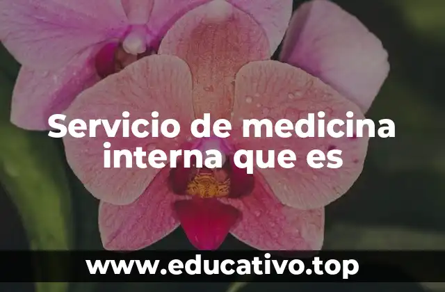 Servicio de medicina interna que es