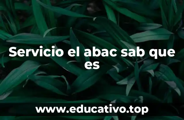 Servicio el abac sab que es