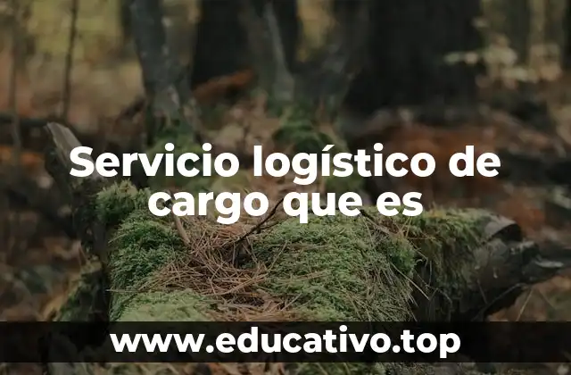 Servicio logístico de cargo que es
