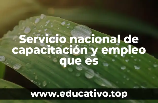 Servicio nacional de capacitación y empleo que es
