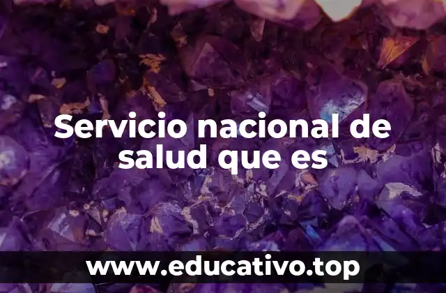 Servicio nacional de salud que es