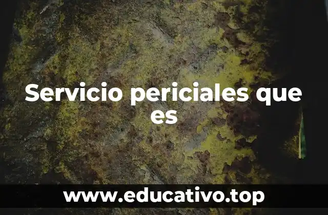 Servicio periciales que es