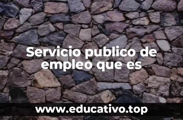Servicio publico de empleo que es