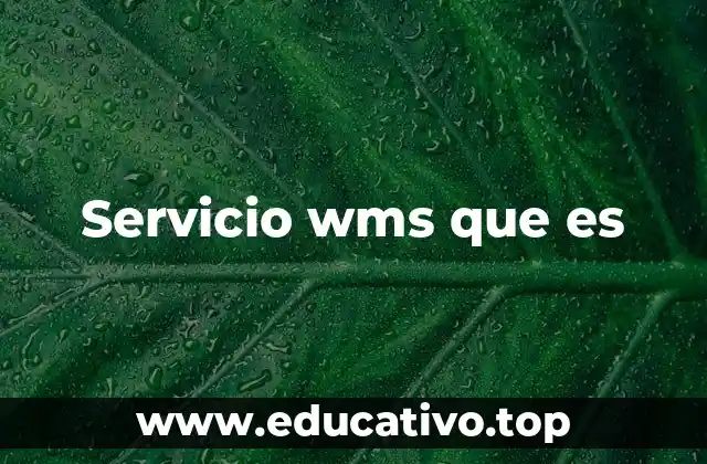 Servicio wms que es