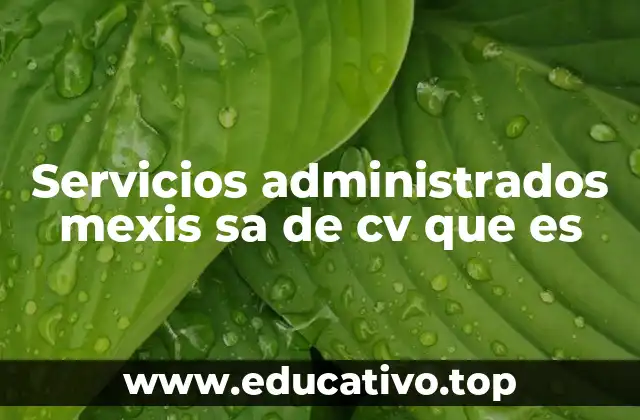 Servicios administrados mexis sa de cv que es