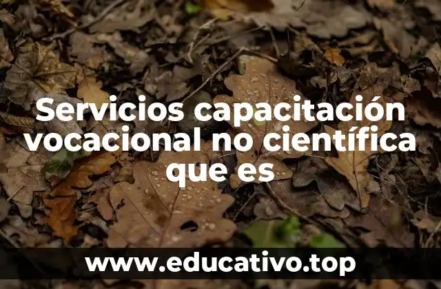 Servicios capacitación vocacional no científica que es