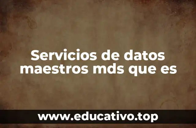 Servicios de datos maestros mds que es